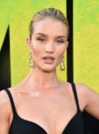 Rosie Huntington-Whiteley In Stella McCartney - 'Meg' LA Premiere