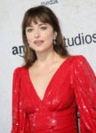 Dakota Johnson In Celine - 'Suspiria' LA Premiere