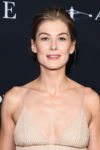 Rosamund Pike In Christian Dior Haute Couture - 'A Private War' LA Premiere