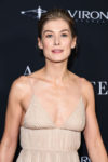 Rosamund Pike In Christian Dior Haute Couture - 'A Private War' LA Premiere