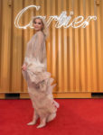 Rita Ora In Iris van Herpen Haute Couture - Cartier Precious Garage Party