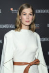 Rosamund Pike In Louis Vuitton - Hamilton Behind The Camera AwardsRosamund Pike In Louis Vuitton - Hamilton Behind The Camera Awards