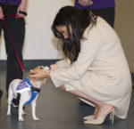 Fashion Blogger Catherine Kallon features Meghan, Duchess of Sussex In Emporio Armani & H&M MAMA - Mayhew Visits