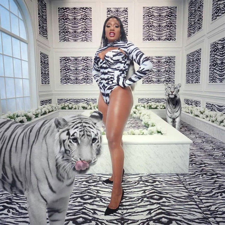 Megan Thee Stallion tiger Zigman bodysuit for WAP