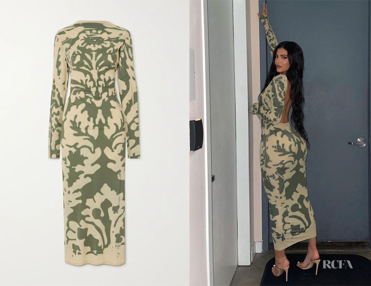 Kylie Jenner’s Ioannes Open-Back Printed Stretch-Mesh Maxi Dress