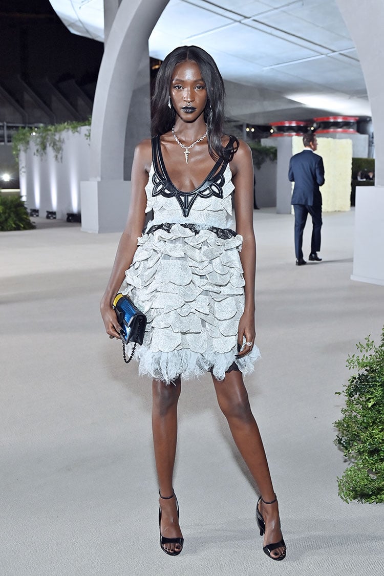Louis Vuitton @ The Academy Museum Gala - Red Carpet Fashion Awards