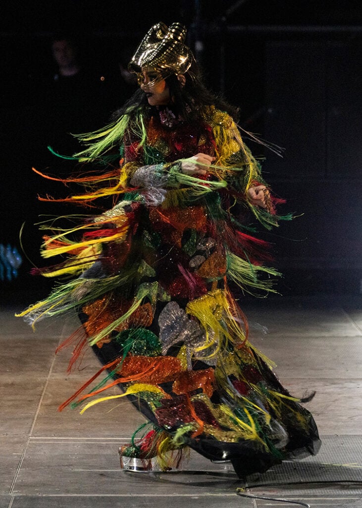 Björk Wore Alexander McQueen Performing At The Primavera