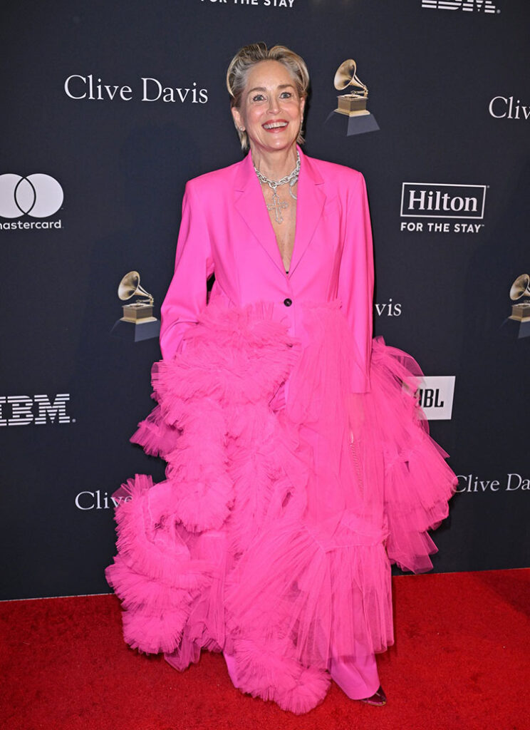 Sharon Stone
Act No 1
2023 Pre-Grammy Gala 