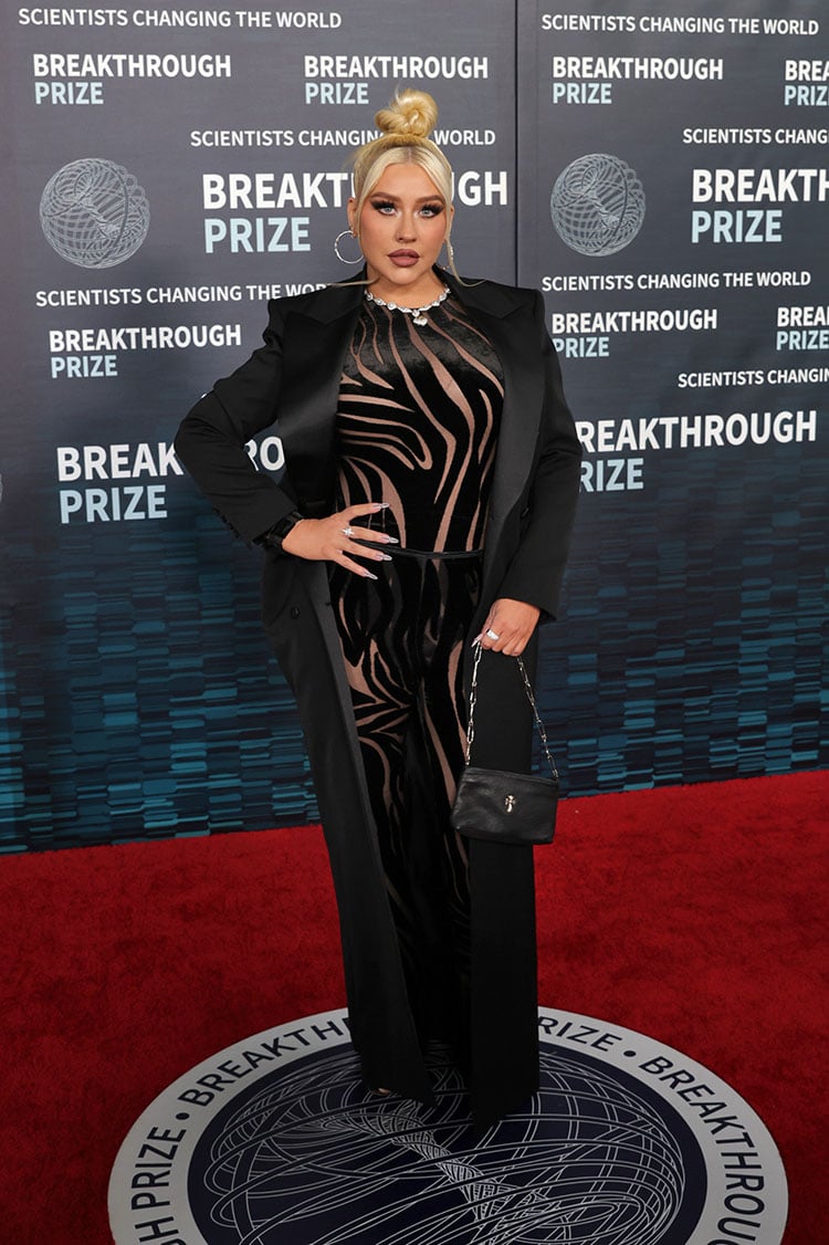 Christina Aguilera Wore Versace To The Ninth Breakthrough Prize Ceremony