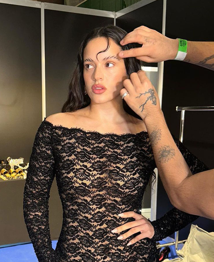 Rosalía’s Latin Grammys Feathered Eyebrows