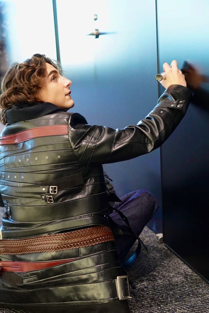 Timothée Chalamet