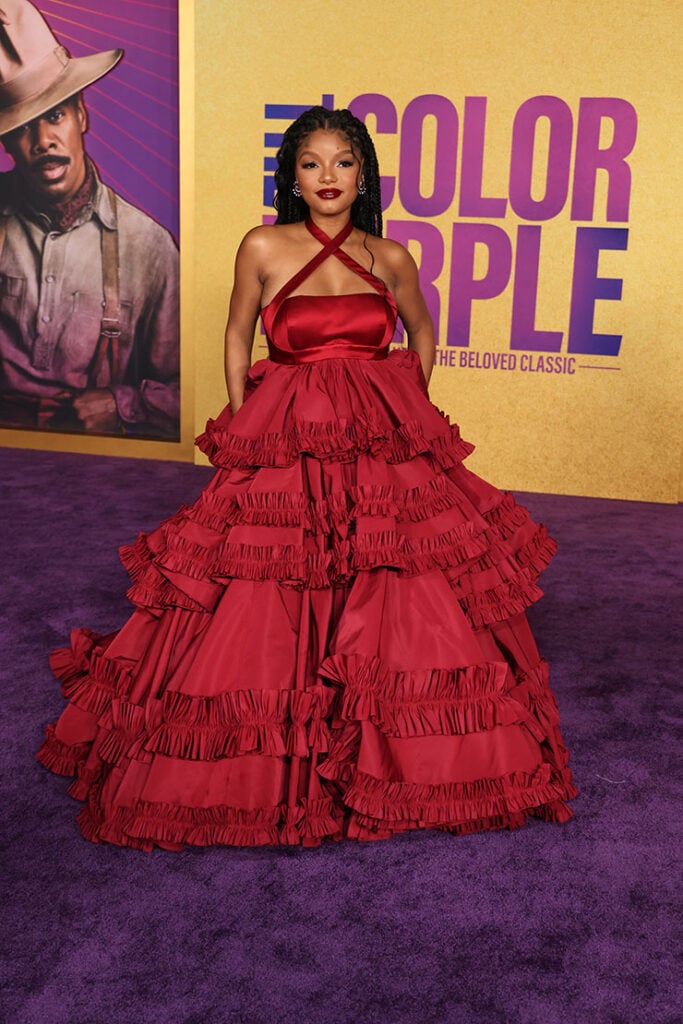 LOS ANGELES, CALIFORNIA - DECEMBER 06: Halle Bailey attends the Los Angeles Premiere of Warner Bros.' "The Color Purple" at Academy Museum of Motion Pictures on December 06, 2023 in Los Angeles, California. (Photo by Stewart Cook/Getty Images for Warner Bros. )