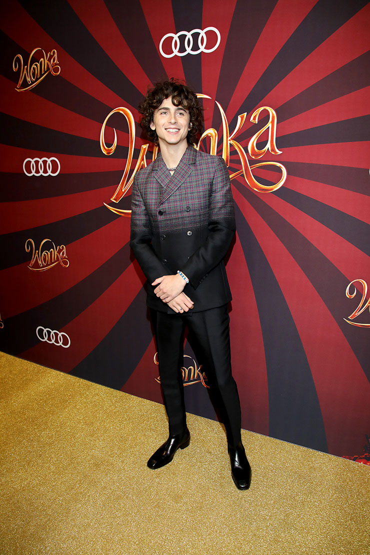 Timothée Chalamet Wore Prada To The ‘Wonka’ Canadian Fan Screening