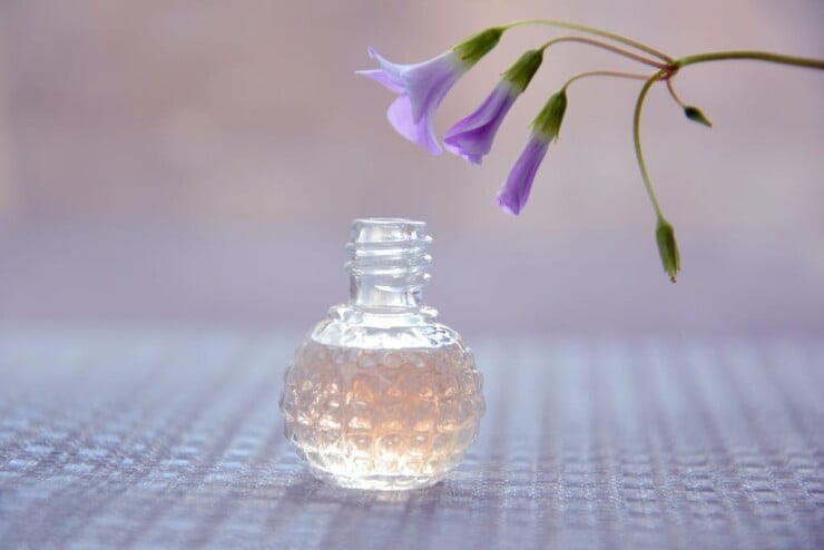Purple Flower Near a Clear Round Bottle