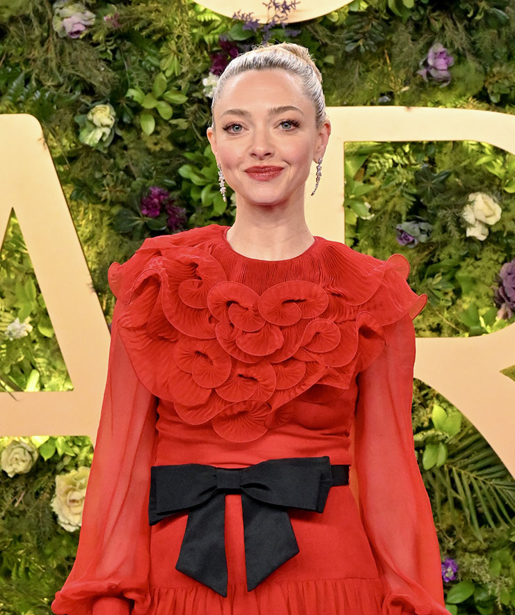 Amanda Seyfried Wore Valentino To The 2025 Joy Awards