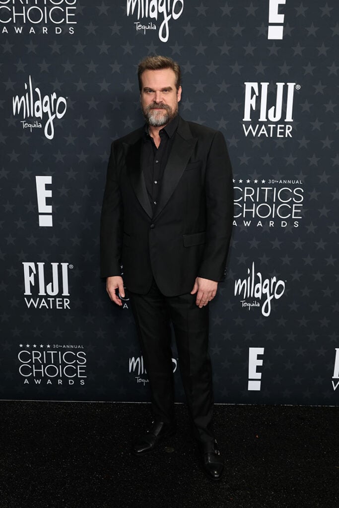 David Harbour attends the 30th Annual Critics Choice Award