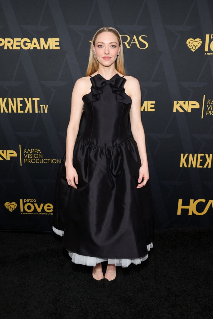 Amanda Seyfried Wore SHUSHU/TONG To The 2026 Astra Film Awards