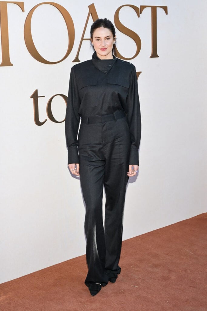 The Walt Disney Company’s Emmy Season Toast to TV