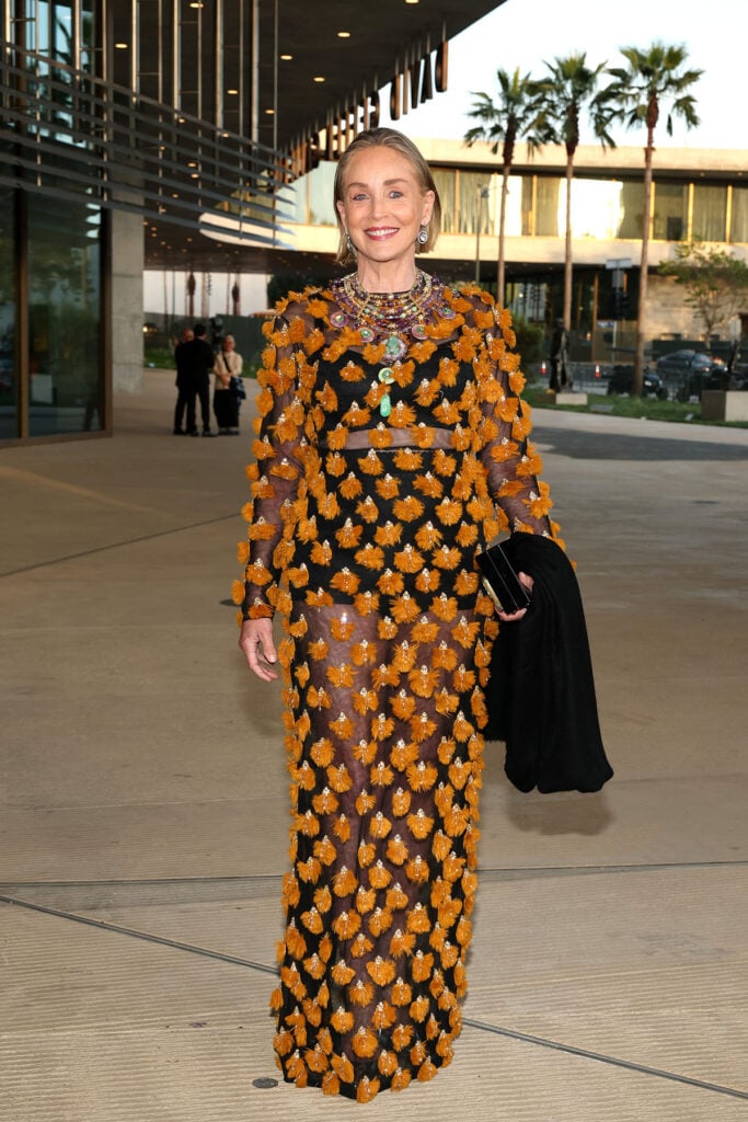 Sharon Stone attends LACMA's Opening Gala for The David Geffen Galleries 